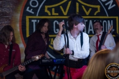 Viter Live
