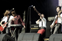 Viter Live