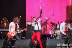 Viter Live